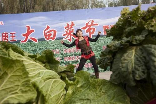 唐王道口大白菜：特色包装设计，彰显地道风味，一键设计即得！