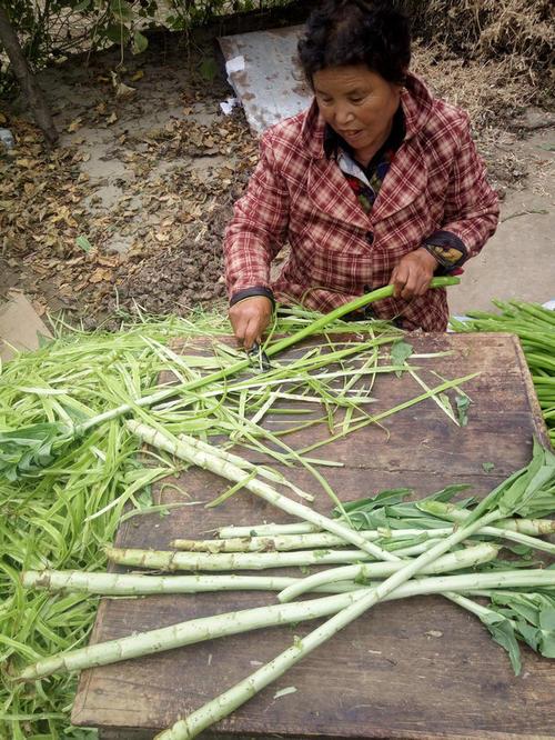 涡阳苔干特产包装盒设计指南：如何打造更符合设计习惯的外观？