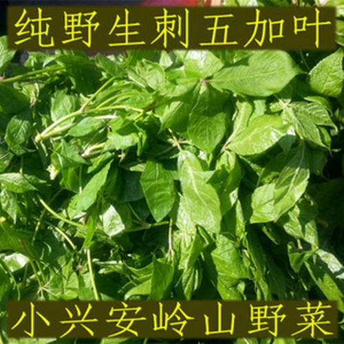 仙岛湖天然野菜特产：精致包装设计指南，设计优化必备